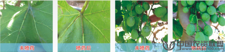 附件