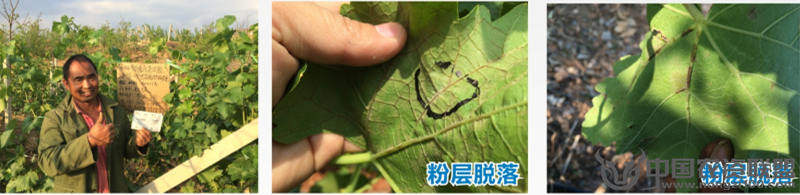 附件