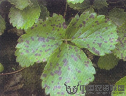 附件