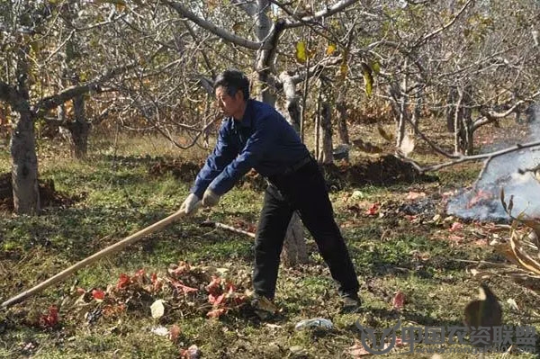 附件