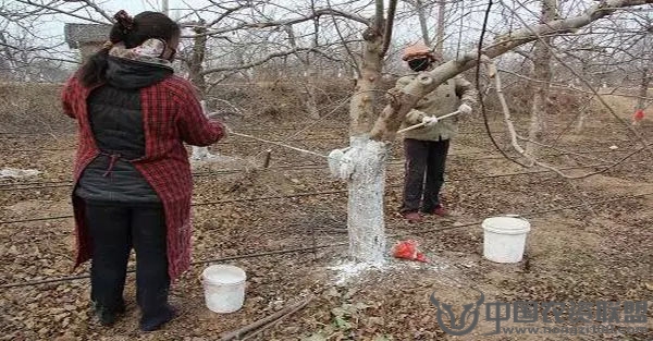 附件