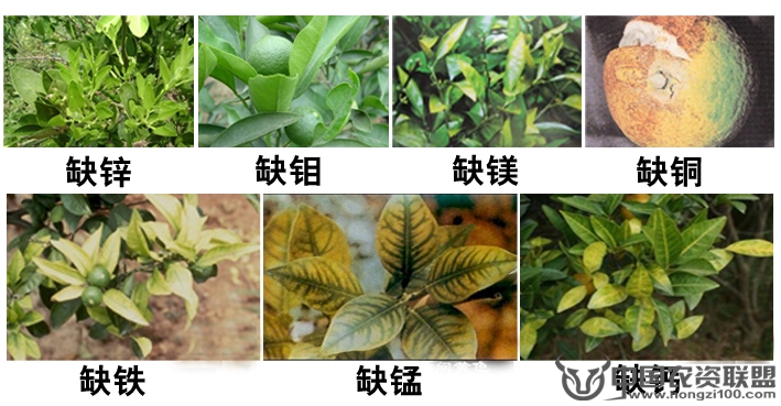 附件