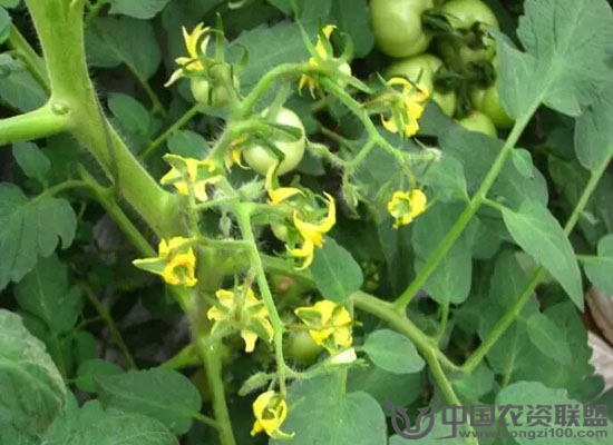 附件