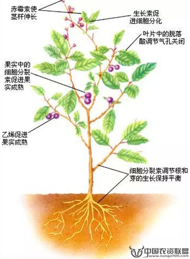 附件