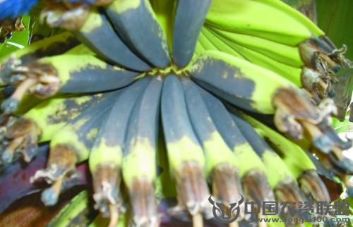 附件
