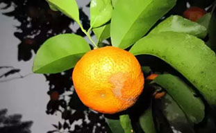 附件