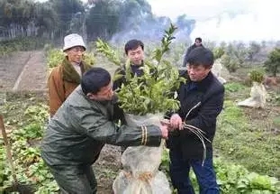 附件