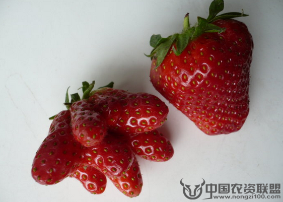 附件