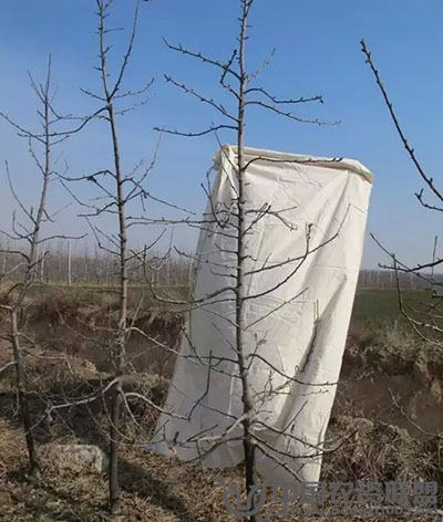 附件