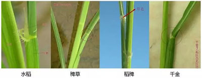 附件