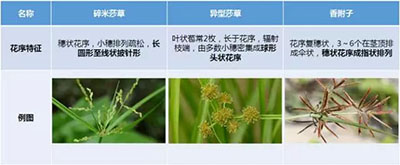 附件