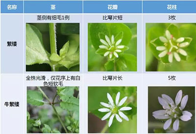 附件