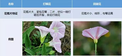 附件