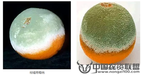 附件