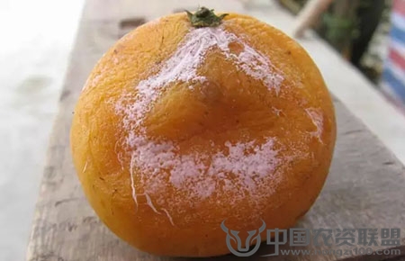 附件