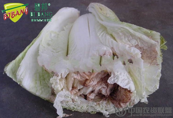 附件