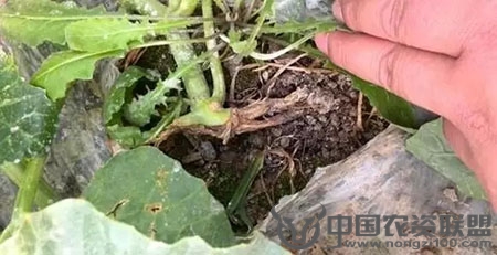 附件