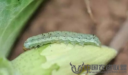 附件
