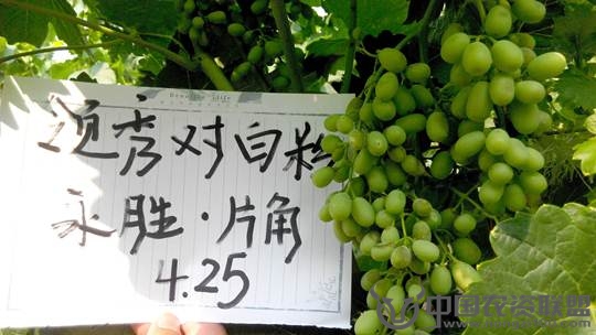 附件