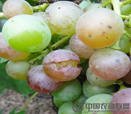 附件