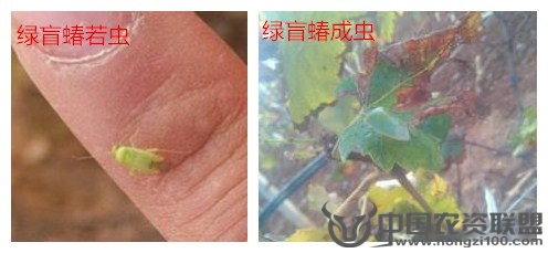 附件
