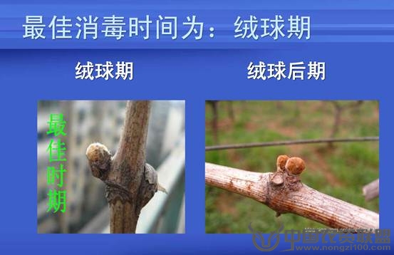 附件