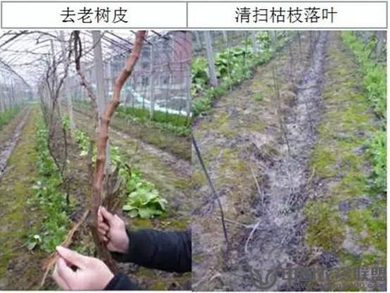 附件