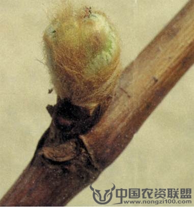 附件