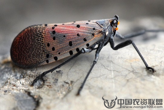 附件