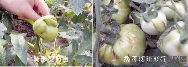附件