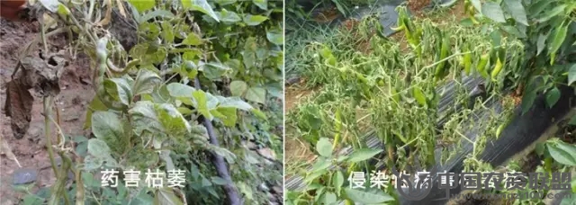 附件