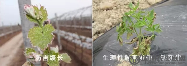 附件
