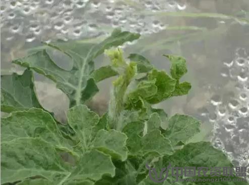 附件