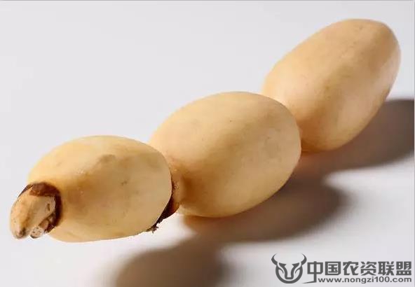 附件