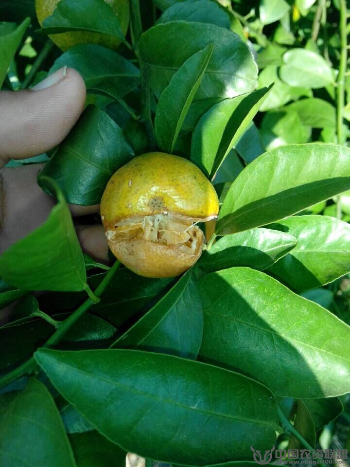 附件