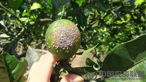 附件
