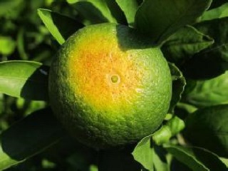 附件