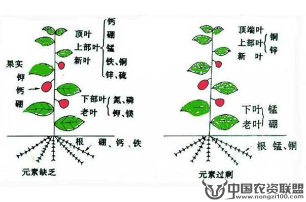 附件
