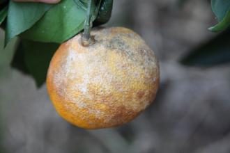 附件