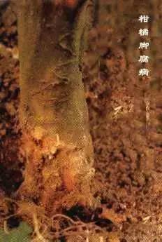 附件