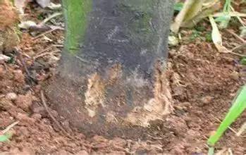 附件