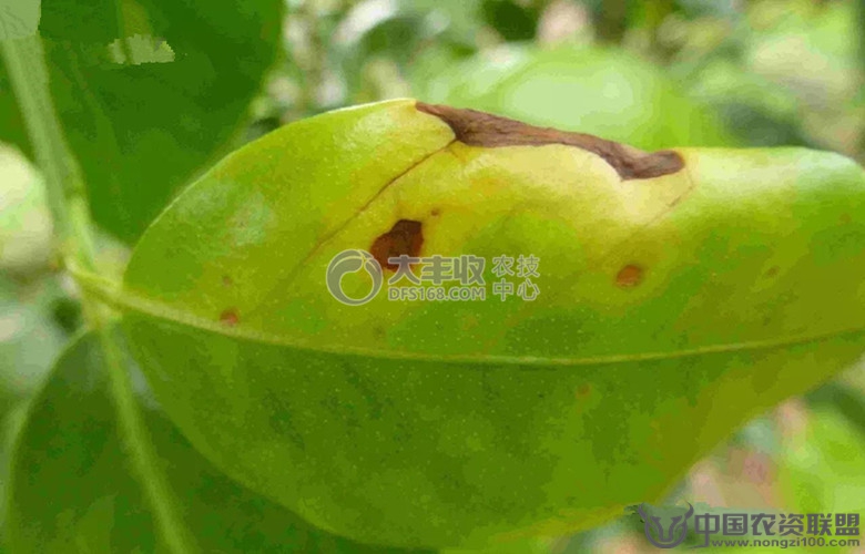 附件