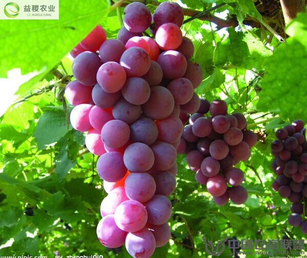 附件