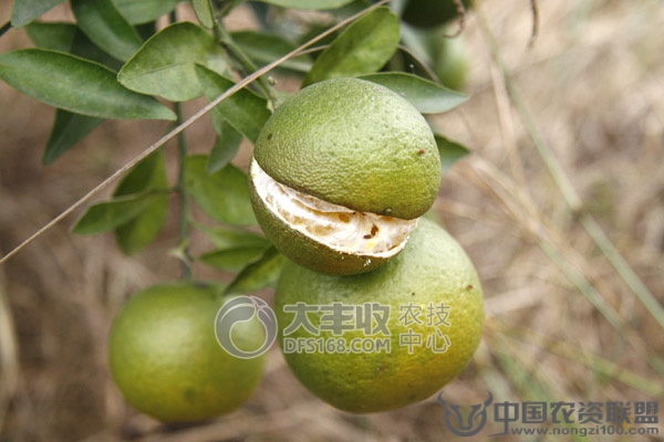 附件