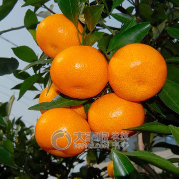 附件