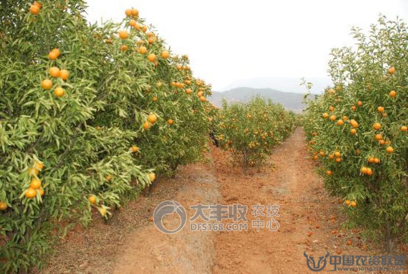 附件