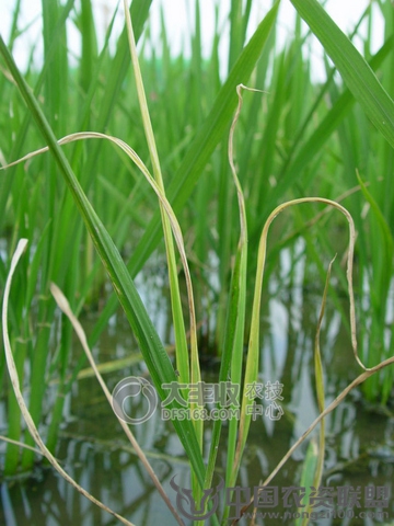 附件