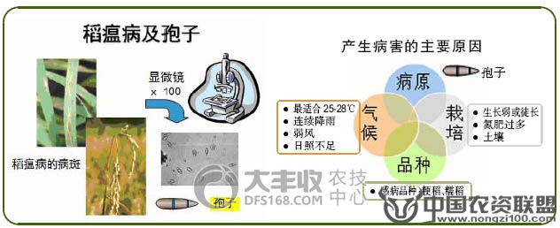 附件