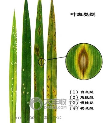 附件