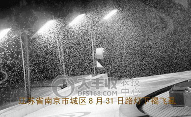 附件